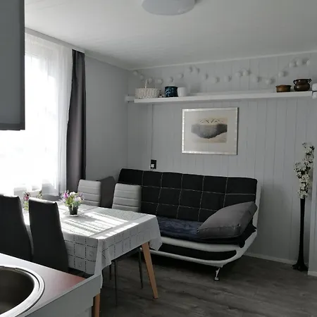 Patogus Bustas Klaipeda