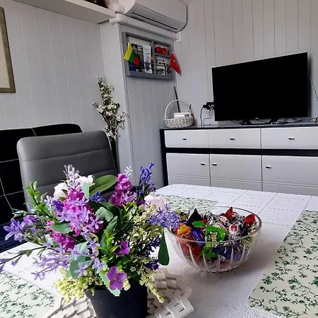 Patogus Bustas Apartment *